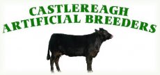 Contact Castlereagh Breeding Services